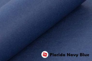 Florida Navy Blue