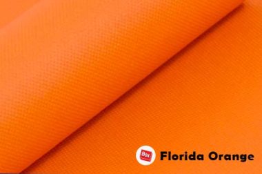 Florida Orange