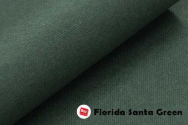 Florida Santa Green